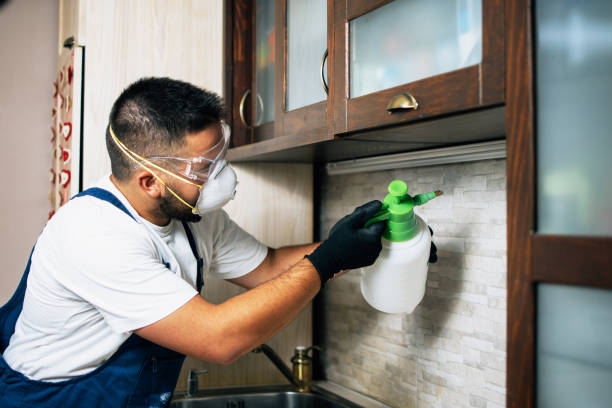 Best Commercial Pest Control Services  in Energy, IL