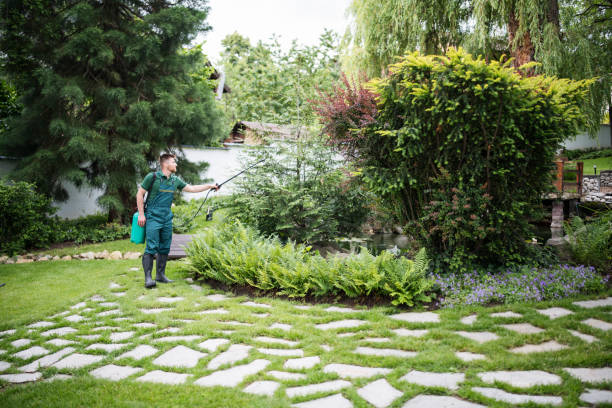 Best Best Pest Control Near Me  in Energy, IL