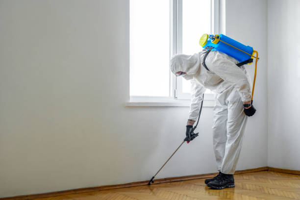 Best Affordable Pest Control Services  in Energy, IL