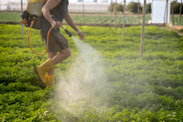 Best Mosquito Control Services  in Energy, IL