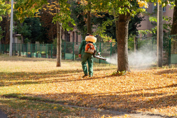 Pest Prevention Services in Energy, IL