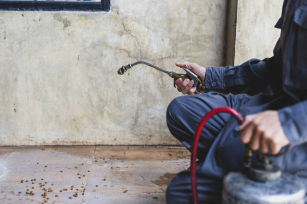 Best Pest Control Near Me  in Energy, IL